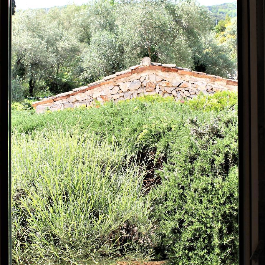 Apartmani Klaudija Valun Exterior foto